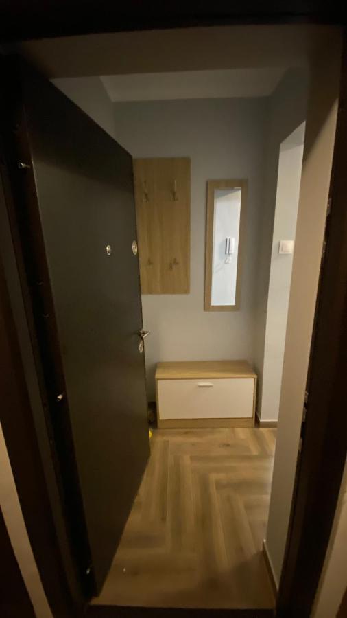 Dacia Apartment Тимишоара Экстерьер фото