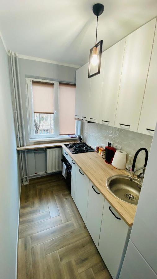 Dacia Apartment Тимишоара Экстерьер фото