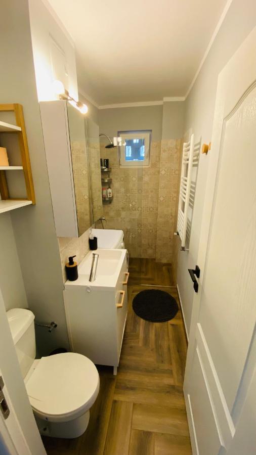 Dacia Apartment Тимишоара Экстерьер фото