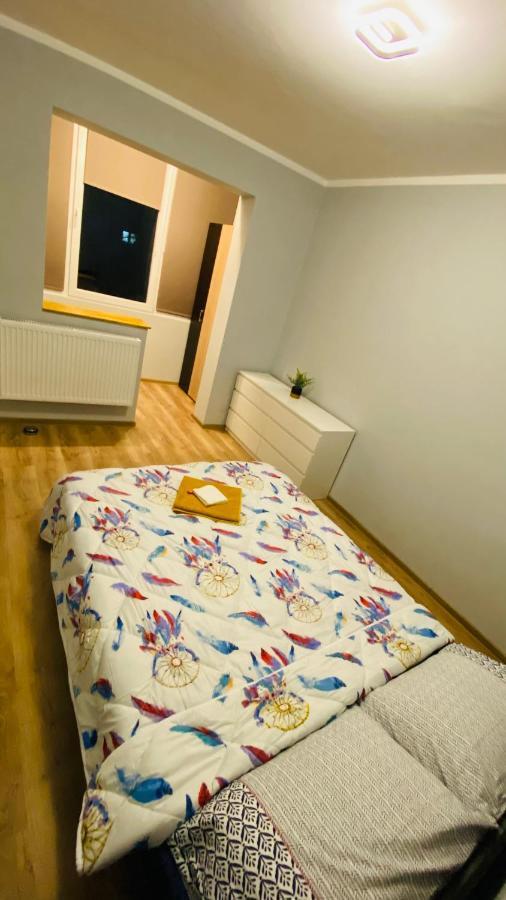 Dacia Apartment Тимишоара Экстерьер фото